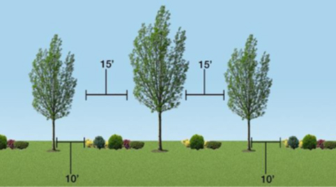 Exhibit C06-10. Concept of Minimum Landscape Layout, Not Representative of Species or Brush Density
        
